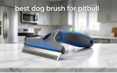 Best Dog Brush for Pitbull: 6 Picks for Short, Smooth Coats