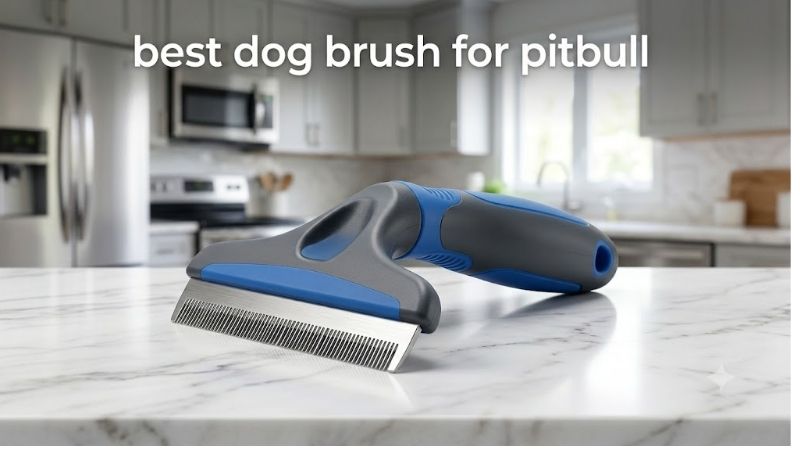 How to Choose the Best Dog Brush for Pitbull Coats