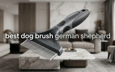 Best Dog Brush German Shepherd Owners Should Buy: 6 Picks