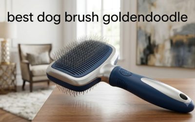 Best Dog Brush Goldendoodle Owners Should Buy First: 5 Picks