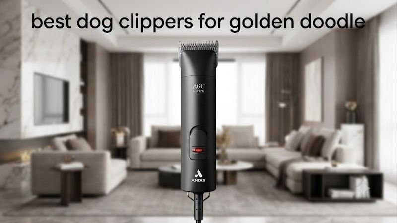 How to Choose the Best Dog Clippers for Golden Doodle Coats