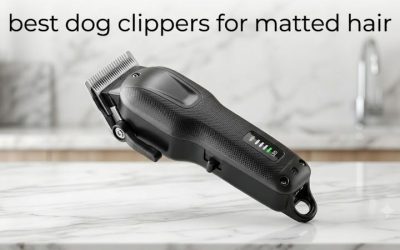 Best Dog Clippers for Matted Fur: 6 Safe Picks for Doodles
