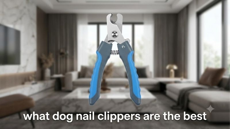How to Choose the Best Dog Clippers for Matted Hair