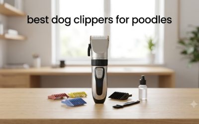 Best Dog Clippers for Poodles: Pro Picks and Blade Tips
