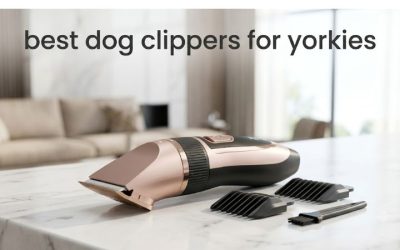Best Dog Clippers for Yorkies: 6 Quiet and Precise Picks