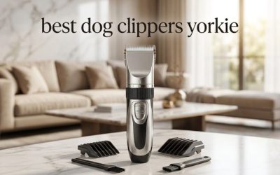 Best Dog Clippers Yorkie Owners Buy: 6 Complete Kits Ranked