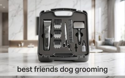 Best Dog Cordless Clippers: 6 Quiet Picks for Home Grooming