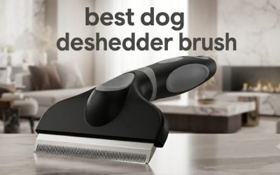 Best Dog Deshedder Brush Picks for Heavy Shedding Coats