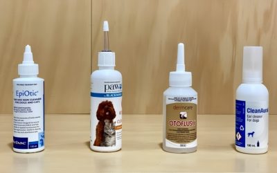 Best Dog Ear Wash Picks for Safe and Routine Ear Cleaning