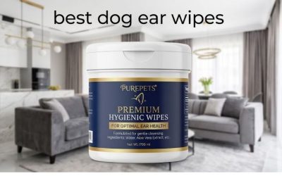 Best Dog Ear Wipes: 6 Gentle Picks for Routine Ear Care