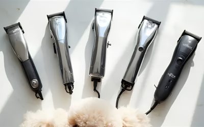 Best Dog Groomer Clippers That Professionals Actually Use