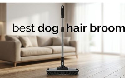 Best Dog Hair Broom: 6 Rubber Sweepers That Actually Work
