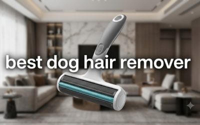 Best Dog Hair Remover Tools for Sofas, Cars and Clothes
