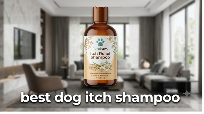 How to Choose the Best Dog Itch Shampoo
