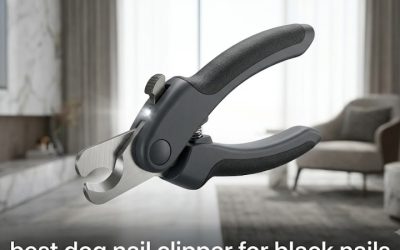 Best Dog Nail Clipper for Black Nails: A Safe Trim Guide