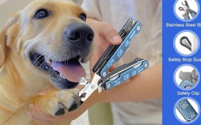 Best Dog Nail Cutter Kits for Travel and On-the-Go Grooming