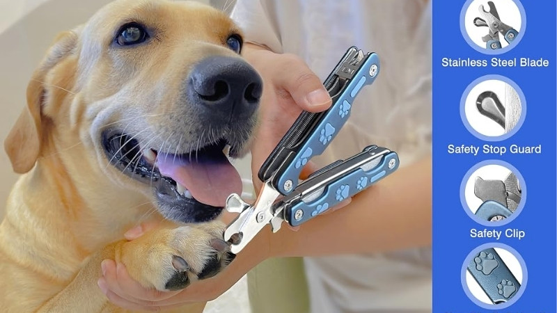 How to Choose the Best Dog Nail Cutter for Travel