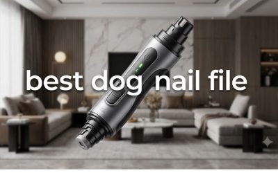 Best Dog Nail File: 6 Quiet Manual Tools for Nervous Dogs