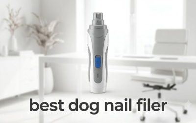 Best Dog Nail Filer: 6 Grinders and Files Worth Your Money
