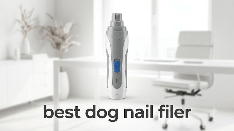How to Choose the Best Dog Nail Filer for Your Dog