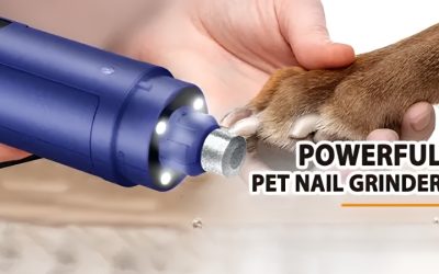 Best Dog Nail Grinder Picks for Quiet, Stress-Free Trims