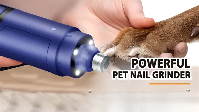 How to Choose the Best Dog Nail Grinder for Your Dog