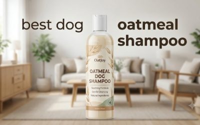 Best Dog Oatmeal Shampoo Picks for Itchy, Flaky Dry Coats