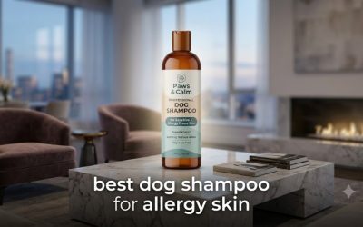 Best Dog Shampoo for Allergy Skin: A Gentle Buying Guide