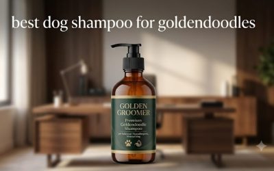 Best Dog Shampoo for Goldendoodles: Curly Coat Buying Guide