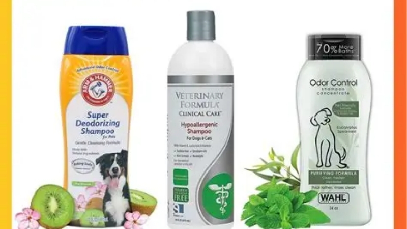 How to Choose the Best Dog Shampoo for Itching Skin From an Infection
