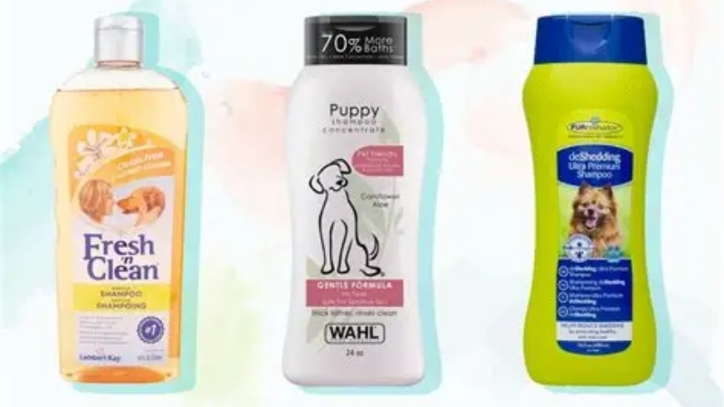 How to Choose the Best Dog Shampoo Itchy Skin Solution for Allergies