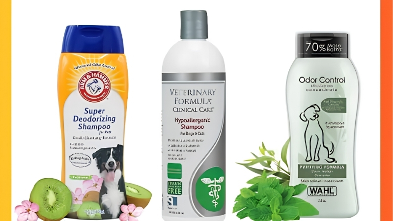 How to Choose the Best Dog Shampoo Smell Formula