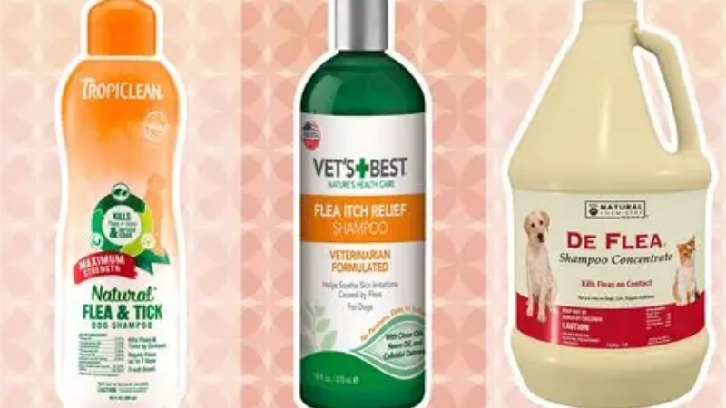 How to Choose the Best Dog Shampoo That Smells Good for Less