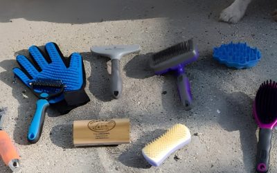 Best Dog Shed Brush Picks for Heavy Undercoat Removal Work