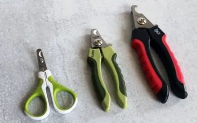 Best Dog Toenail Clippers for Safe, Stress-Free Nail Trims