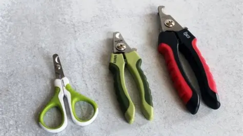 How to Choose the Best Dog Toenail Clippers