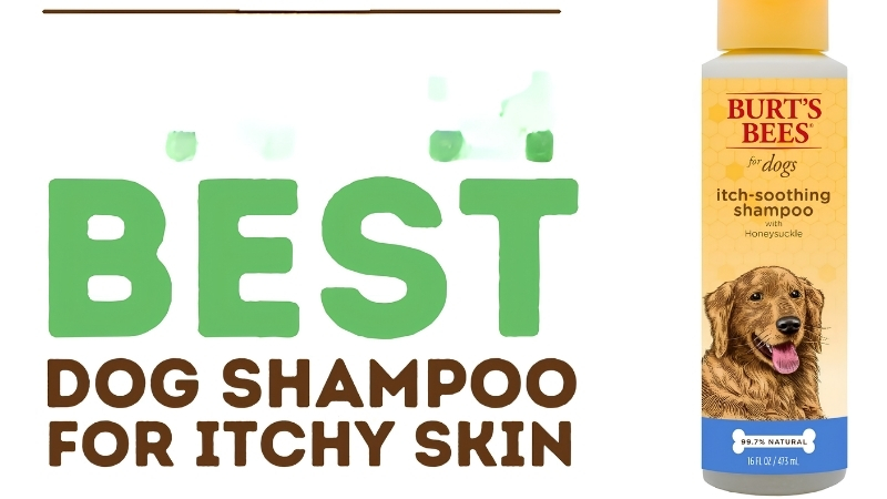 How to Choose the Best Dog Wash for Itchy Skin Flare-Ups