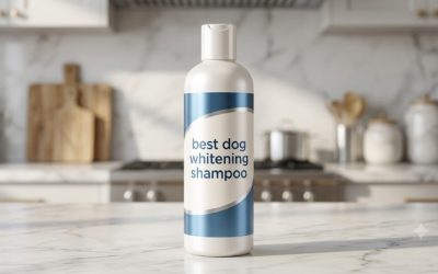 Best Dog Whitening Shampoo Picks for Bright, Clean Coats