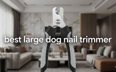 Best Large Dog Nail Trimmer: 5 Picks for an Easier Grip