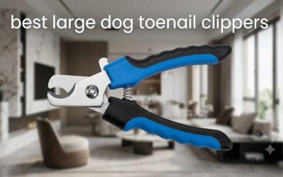 Best Large Dog Toenail Clippers: 5 Picks for Thick Nails