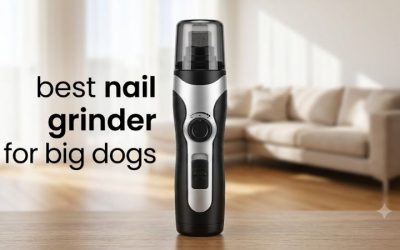 Best Nail Grinder for Big Dogs: Top 6 Picks for Thick Nails