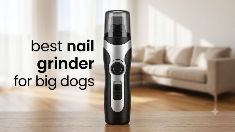 How to Choose the Best Nail Grinder for Big Dogs