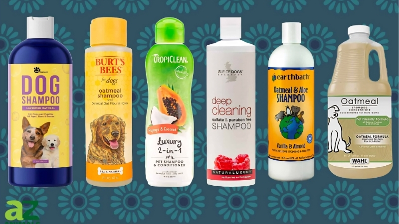 How to Choose the Best Scent Dog Shampoo for Your Home