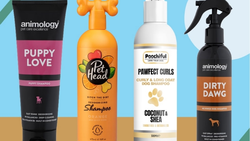 How to Choose the Best Scented Dog Shampoo Safely