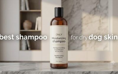 Best Shampoo for Dry Dog Skin: 5 Picks for Winter Flakes
