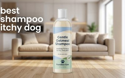 Best Shampoo Itchy Dog Owners Trust: 5 Picks by Coat Type