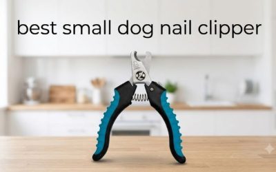 Best Small Dog Nail Clipper: 6 Safe, Precise Tools to Buy