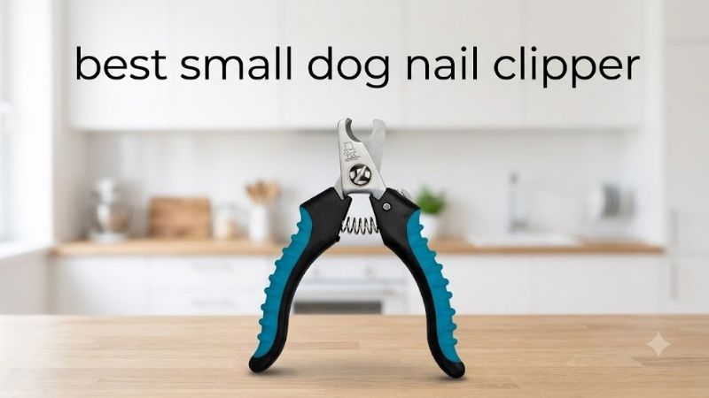 How to Choose the Best Small Dog Nail Clipper
