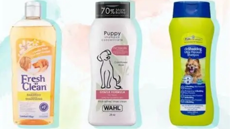 How to Choose the Best Smelling Dog Shampoo That Lasts