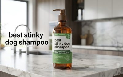 Best Stinky Dog Shampoo: 5 Picks for Truly Awful Smells